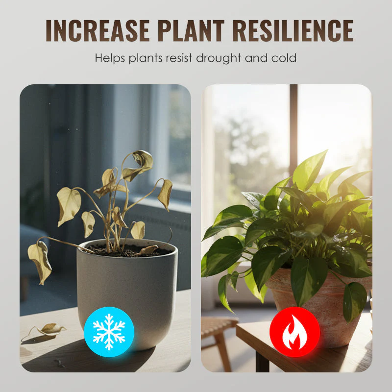 💥Neujahrsangebot 50% Rabatt💥🌱 Universeller Pflanzen-Wurzelaktivator & Bodenverbesserer 💪 -Remifa® - Image 6